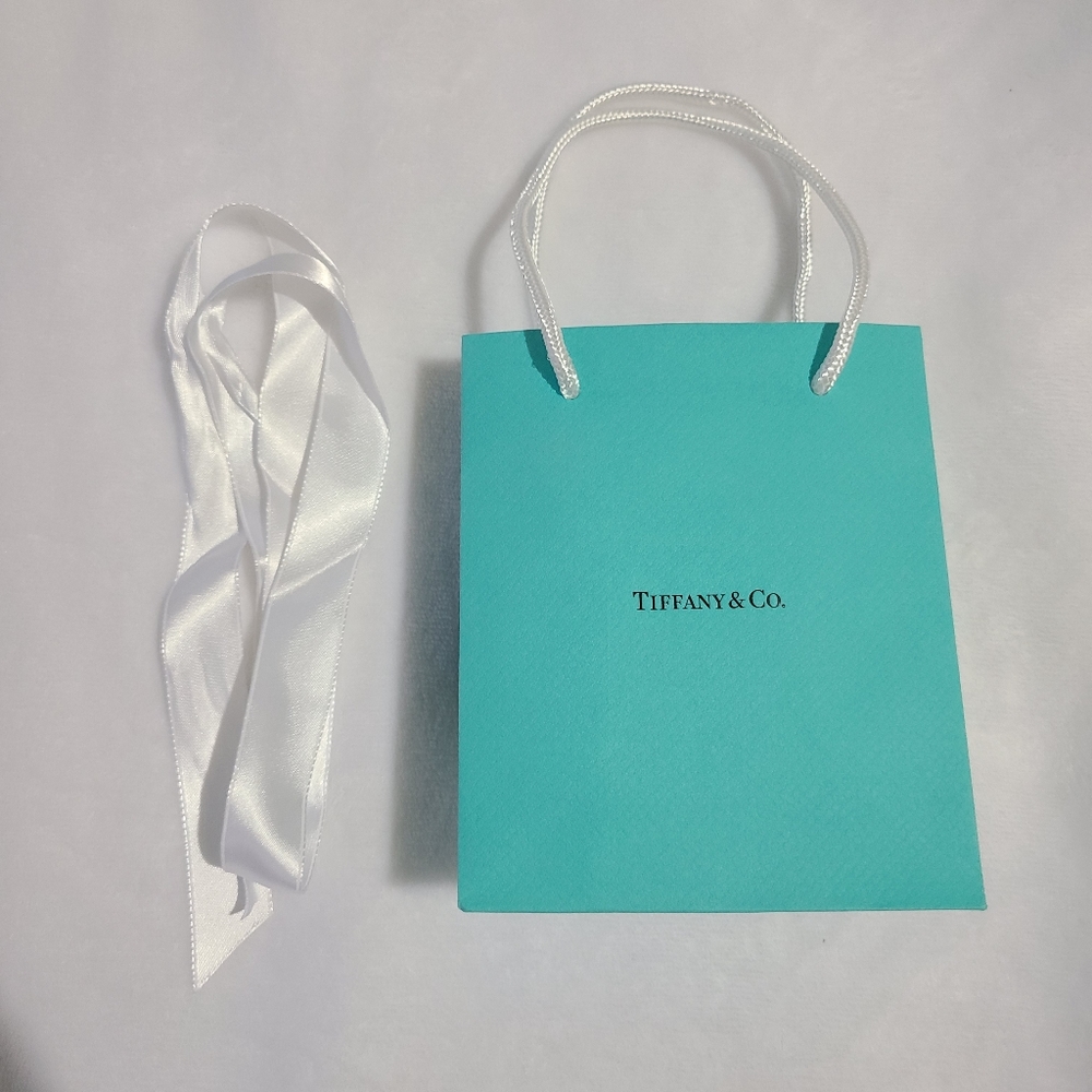 Tiffany & Co Small Paper Gift Bag and Ribbon